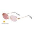 Gafas de sol octogonales sin montura con lentes fotocromáticas rosas y patillas de metal dorado - Montura Dorada/Lentes de Rosa Claro a Rosa (C5)