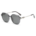 Polarized sunglasses with transparent grey frame and silver metal temple accents - Gray Frame Green Gray Lens