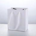 Minimalist white paper jewelry gift bag with circular braided rope handles and clean design - 11x6x12cm / White Handbag (A3455)