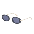 Occhiali da sole ovali steampunk con montatura nera e stanghette in metallo dorato in stile minimal - C1 Nero Oro Lente Grigia