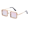 Steampunk gold metal square sunglasses with hollow mesh frame and purple gradient lenses - Gold Frame Gradient Pink Lens (C7) / Barbie Pink
