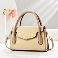 Detail of beige woven handbag with diamond-encrusted buckle and gold hardware accessories - L28 W10 H17 / Khaki