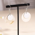 Fashionable shell hoop earrings with silver metal disc on a black display stand - Silver