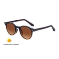 Fashionable round tortoiseshell sunglasses with brown gradient photochromic lenses - Black Tortoiseshell to Tea (C5)