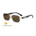 Brown rimless octagonal photochromic sunglasses with tortoiseshell temples and gold metal accents - C6 Black Tea Floral Gold Light Tea to Dark Tea