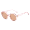 Irregular round sunglasses for women with transparent pink frames and brown lenses - Regular / Regular Pink Frames with Pink Lenses (Inc. 13% VAT)