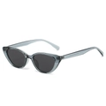 Fashion cat-eye sunglasses with translucent grey frames and dark tinted lenses - Regular / Standard - Blue Frame with Black-Grey Lenses