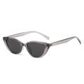 Cat eye polarized sunglasses with transparent grey frame and dark grey lenses for fashion - Regular / Standard (Incl. 13% VAT) Transparent Grey Frame & Grey Lenses