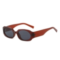 Retro oval sunglasses with red-brown translucent frame and dark grey lenses for street style - Regular / Tea Frame Grey Lens