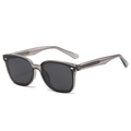 Classic polarized sunglasses in transparent grey frame with modern metal temple core - Regular / Champagne Frame Grey Lens