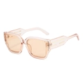 Champagne cat-eye sunglasses with wide frames and gold metal temple accents - Champagne Frame Champagne Lens