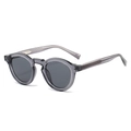 Retro grey translucent round sunglasses with metallic pin core and dark lenses - Regular / Standard (Incl. 13% VAT) Transparent Grey Frame & Grey Lenses