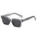 Flat top candy colored square sunglasses with transparent grey frame and metal core temples - Translucent Grey Frame Grey Lens