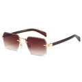 Lunettes de soleil rectangulaires sans monture avec charnières dorées et verres dégradés - Standard / Monture Dorée Double Dégradé Thé