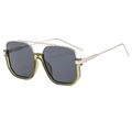 Moderne Doppelsteg-Sonnenbrille mit transparentem grünem Rahmen und grauen Gläsern - Silber Grün Rahmen Graue Gläser