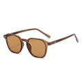 Lunettes de soleil rétro polygonales transparentes avec détails métalliques sur les branches - Standard / Régulier (incl. 13 % TVA) monture à motif thé et verres marron