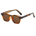Gafas de sol polarizadas de carey con lentes marrones y remaches de estilo retro - Montura de Leopardo / Lentes Té
