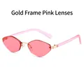 Lunettes de soleil polygonales rétro avec monture dorée et verres teintés roses - Standard / Monture Dorée Verres Roses