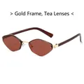 Lunettes de soleil polygonales rétro avec monture dorée et verres teintés marron - Standard / Monture Dorée Verres Ambrés