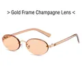 Retro oval metal sunglasses with golden frame and champagne lenses for a chic look - Gold Frame Champagne Lens