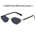 Lunettes de soleil octogonales sans monture avec cadre doré et verres gris foncé - Standard / Monture Or Noir Gris