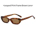 Vintage oval small frame tortoiseshell sunglasses with brown lenses for women - Leopard Frame / Tea Lens