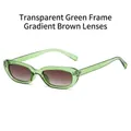 Retro oval sunglasses with transparent green frames and gradient brown lenses - Transparent Green Frame Gradient Tea Lenses