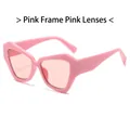 Chic polygonal sunglasses with solid pink frame and semi-transparent pink lenses - Pink Frame / Pink Lens