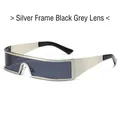 Lunettes de soleil bouclier futuristes avec monture argentée et verres gris foncé - Monture Argentée Verres Gris Noir