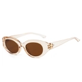 Fashion cat eye sunglasses with transparent champagne frame and brown lenses - Regular / Standard (Incl. 13% Tax) Champagne Frame / Tea Lenses