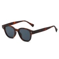 Retro tortoiseshell sunglasses with dark lenses and stylish three-dot metal rivet details - Leopard Frame Grey Lens