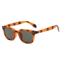Classic tortoiseshell sunglasses with dark lenses and silver rivet details on a white background - Tortoise Frame Grey Lens