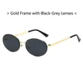 Kleine ovale retro zonnebril met gouden montuur en donkergrijze glazen voor dames en heren - Gouden Frame Zwart Grijs