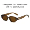 Irregular small frame sunglasses in transparent tea color with retro geometric design - Transparent Tea Frame Tea Lens