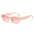 Fashionable cat eye sunglasses with light pink matte frame and gradient lenses - Regular / Standard Pink Frame with Double Pink Lenses