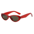 Lunettes de soleil œil-de-chat rouges brillantes avec verres foncés pour les vacances - Standard / Régulier (incl. TVA 13 %) Monture bordeaux verres gris