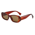 Retro rectangular sunglasses with amber frames and dark brown lenses in a trendy ins style - Red Frame Tea Lens