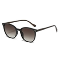 Gafas de sol ovaladas negras con patillas de madera y lentes de degradado - Montura Negra Doble Lente Té