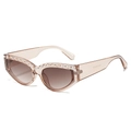 Lunettes de soleil œil de chat monture champagne avec strass brillants pour femmes - Standard / Monture Champagne Verre Double Thé