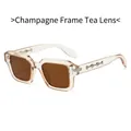Square fashion sunglasses with champagne frames and brown lenses featuring metal accents - Regular / Champagne Frame / Tea Lens
