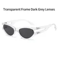 Oval sunglasses with transparent frame and grey lenses featuring hollow double temples - Regular / Regular (Transparent Frame & Black-Grey Lenses)