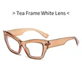 Chic amber tortoise cat eye sunglasses with transparent lenses for a stylish retro look - Tea Frame Clear Lens
