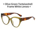 Cat eye sunglasses with transparent olive green frames and tortoise shell temples - Olive Green & Tortoiseshell Frame Clear Lens
