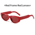 Retro oversized sunglasses with thick red frame and matching translucent red lenses - Red Frame Red Lens