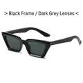 Retro black cat-eye sunglasses with dark grey lenses and golden rivet accents - Regular / Black Frame Black Grey Lens