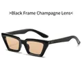 Retro cat-eye sunglasses with thick black frames and champagne-tinted lenses - Regular / Black Frame Champagne Lens