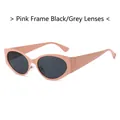 Retro oval cat-eye sunglasses featuring a pink plastic frame with dark grey lenses - Regular / Standard (Incl. 13% VAT) Pink Frame with Black-Grey Lenses