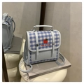 Detail of blue plaid backpack featuring apple embroidery and leather pocket texture - Blue