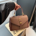 Brown woven texture handbag with flap design and gold buckle in vintage chic style - Brown