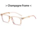 Occhiali da sole quadrati steampunk con montatura champagne e stanghette in metallo oro - Montatura Champagne